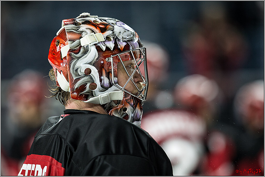 DEL, Koelner Haie - Straubing Tigers, 28.11.2017