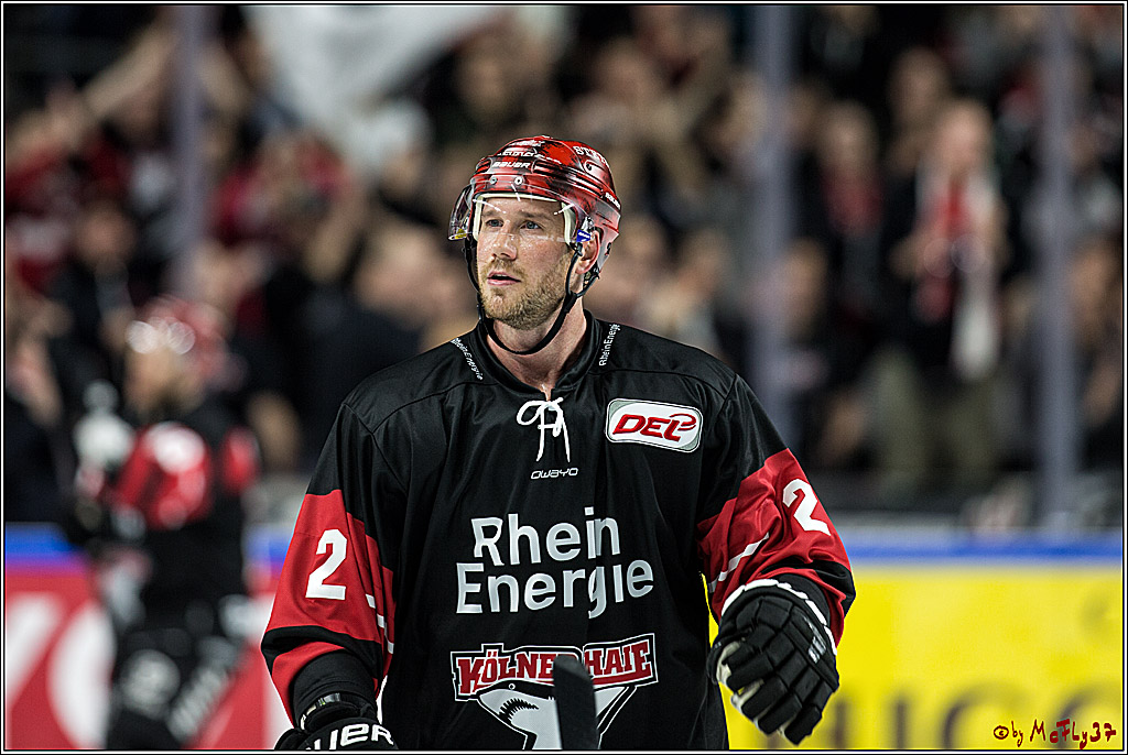 DEL, Koelner Haie - Straubing Tigers, 28.11.2017