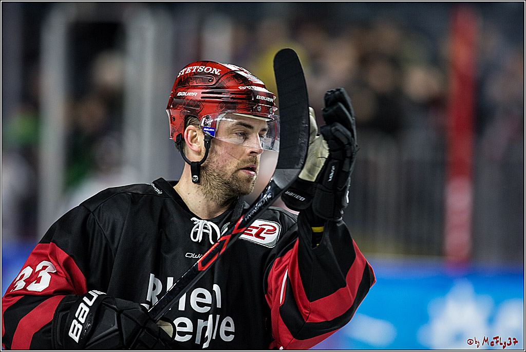 DEL, Koelner Haie - Straubing Tigers, 28.11.2017