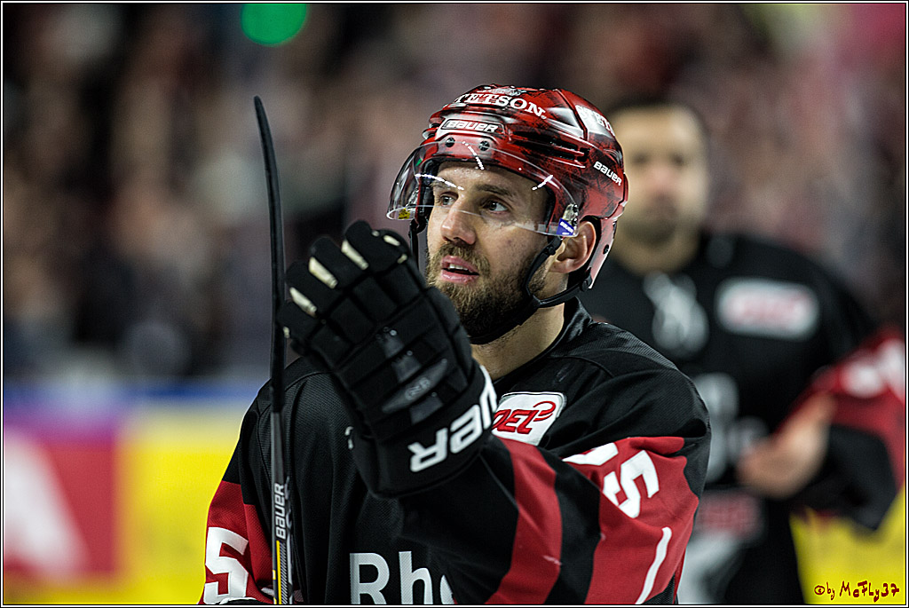 DEL, Koelner Haie - Straubing Tigers, 28.11.2017