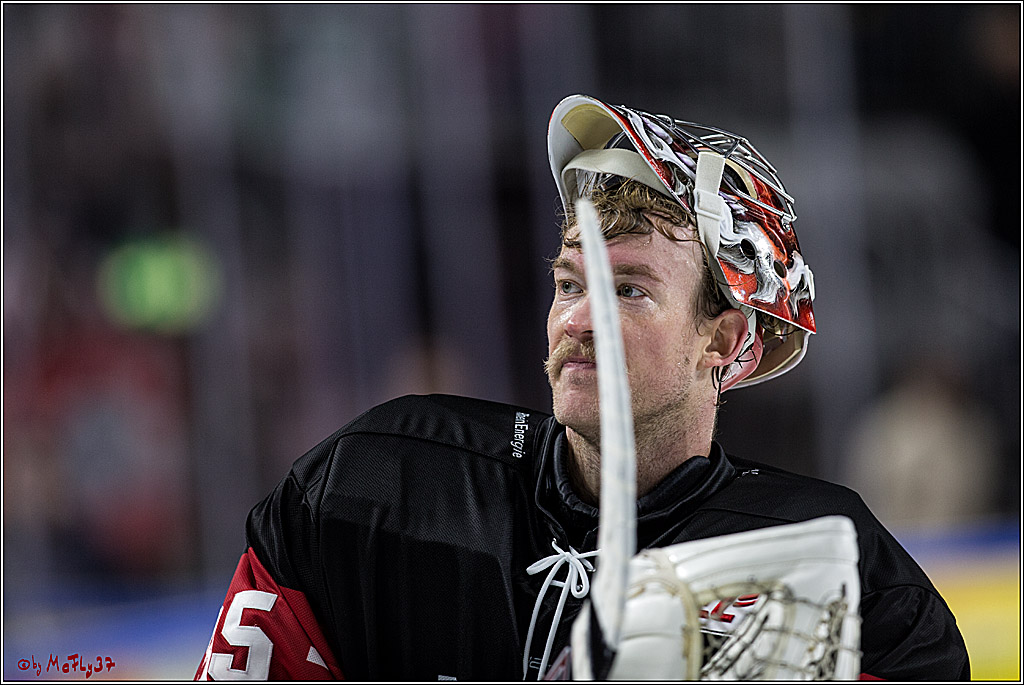 DEL, Koelner Haie - Straubing Tigers, 28.11.2017