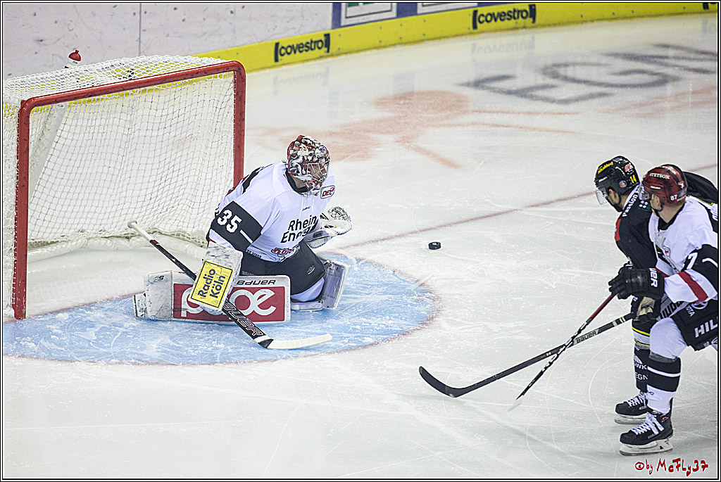 DEL, Krefeld Pinguine - Koelner Haie, 01.12.2017