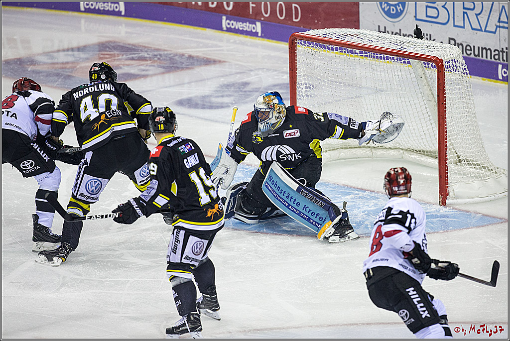 DEL, Krefeld Pinguine - Koelner Haie, 01.12.2017