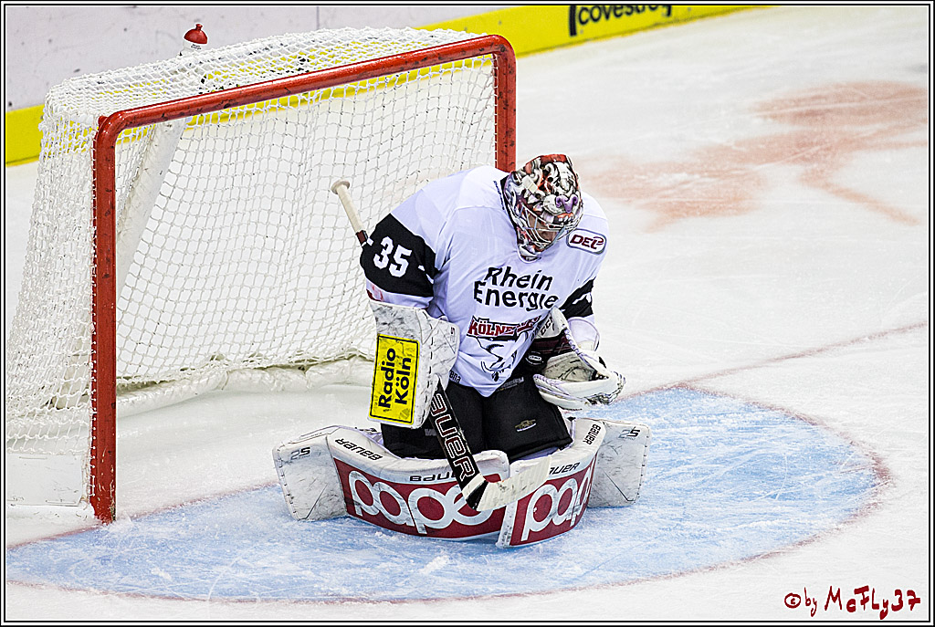 DEL, Krefeld Pinguine - Koelner Haie, 01.12.2017