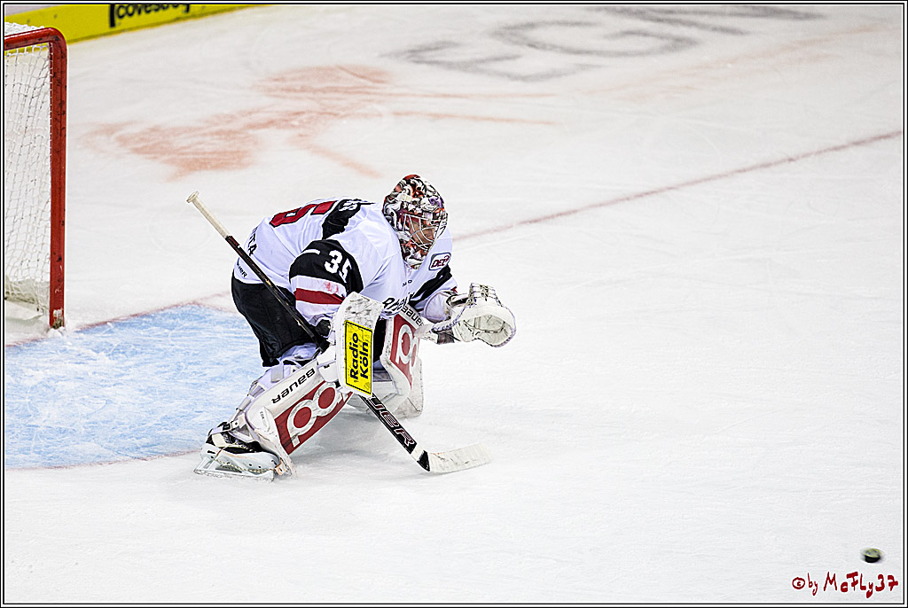 DEL, Krefeld Pinguine - Koelner Haie, 01.12.2017