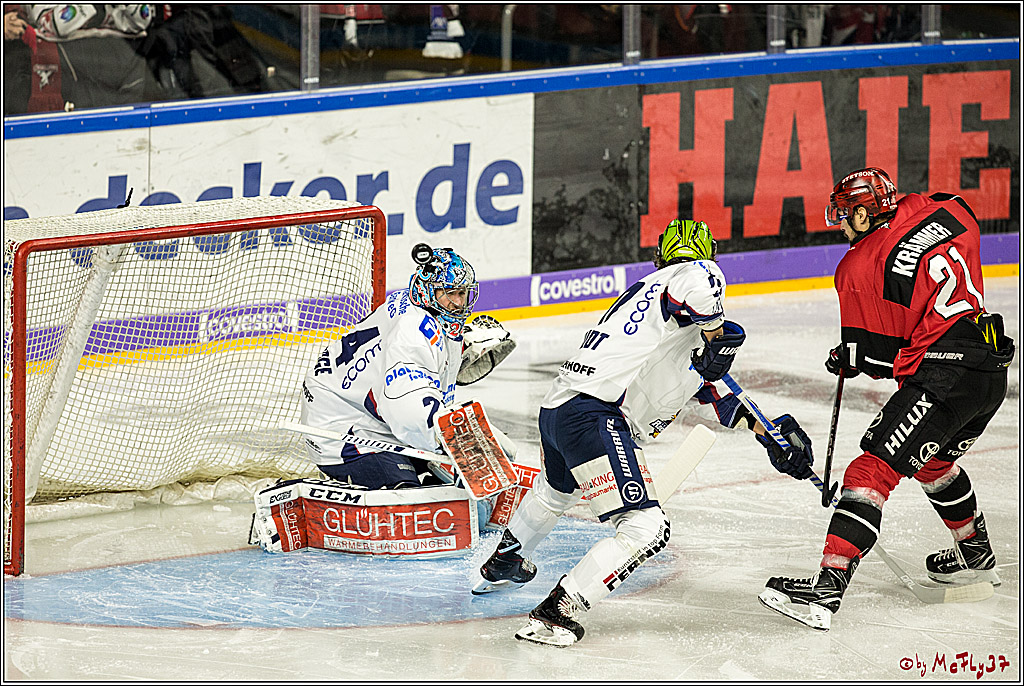 DEL, Koelner Haie - Iserlohn Rooster, 03.12.2017