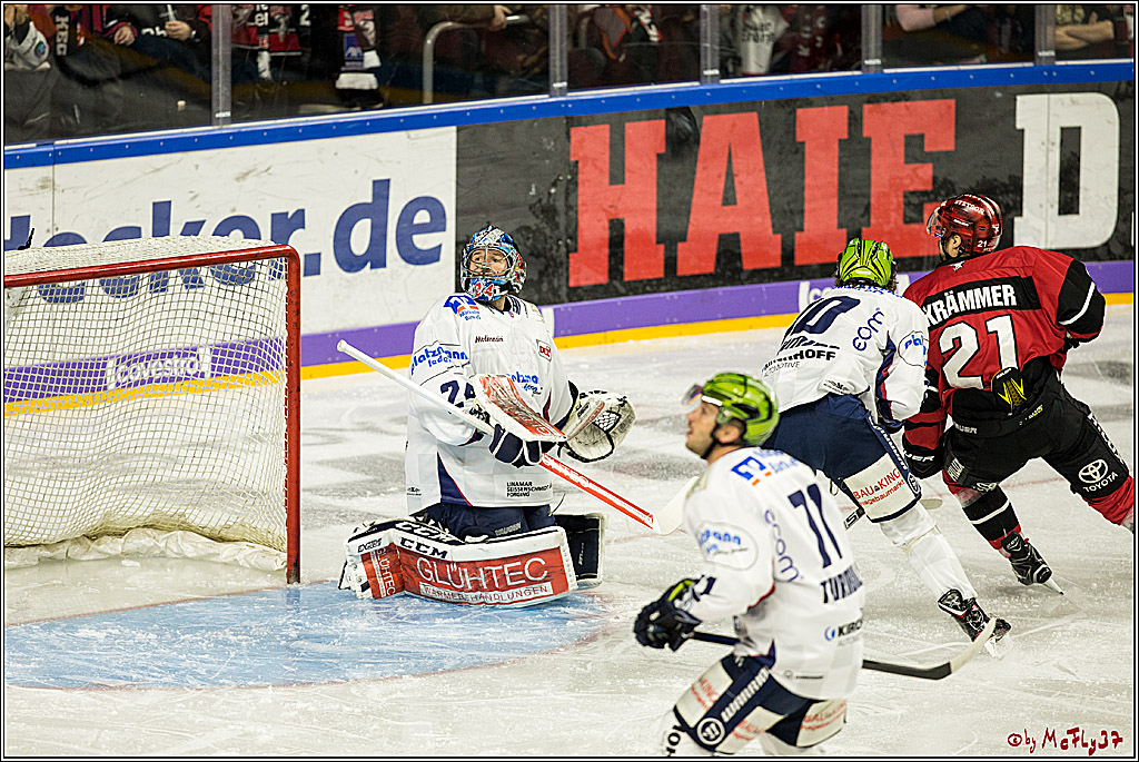 DEL, Koelner Haie - Iserlohn Rooster, 03.12.2017