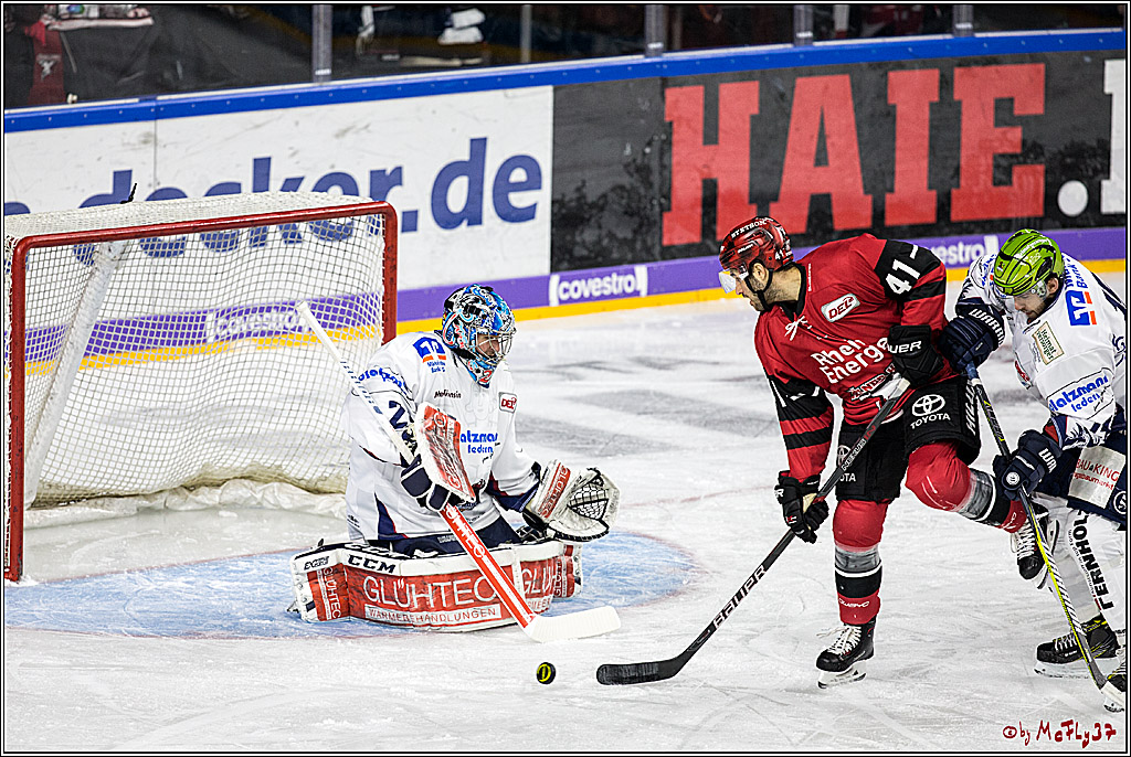 DEL, Koelner Haie - Iserlohn Rooster, 03.12.2017