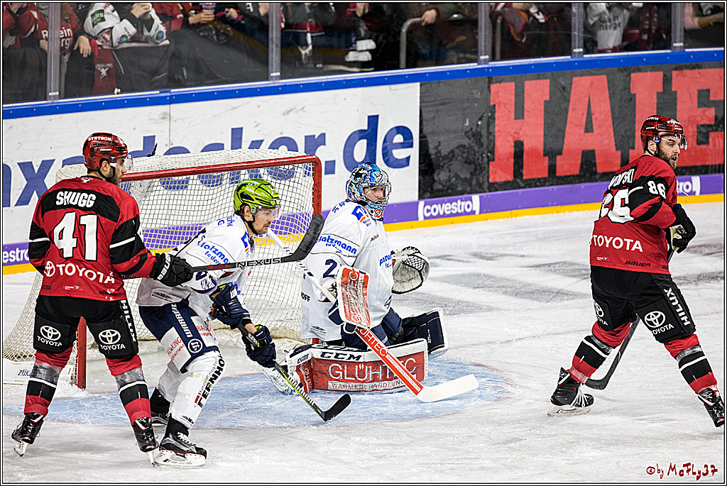 DEL, Koelner Haie - Iserlohn Rooster, 03.12.2017