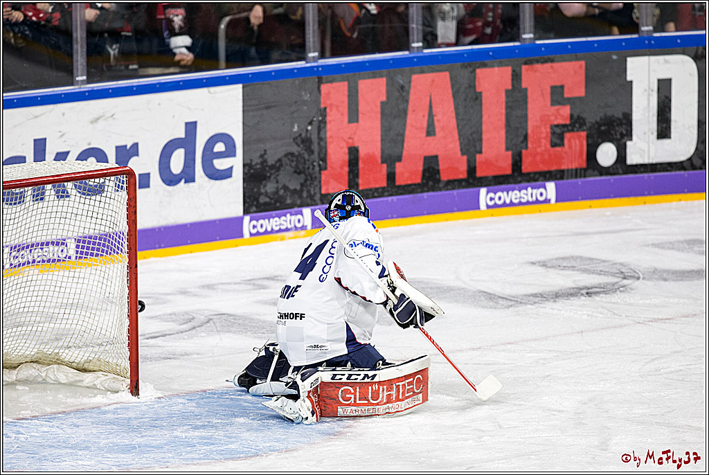 DEL, Koelner Haie - Iserlohn Rooster, 03.12.2017