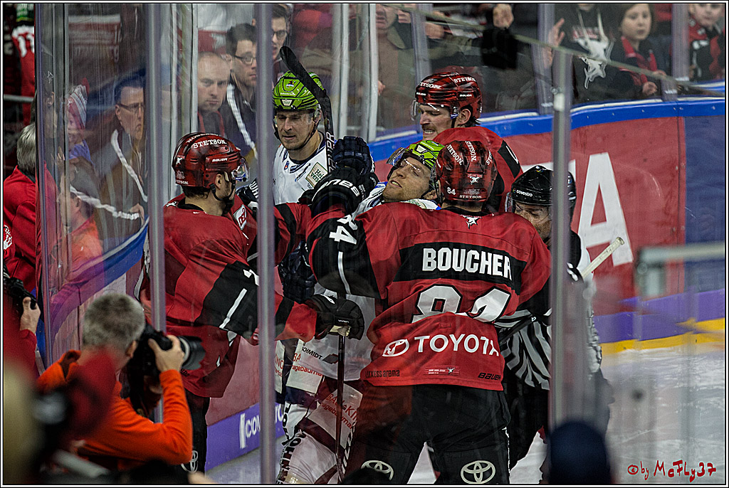 DEL, Koelner Haie - Iserlohn Rooster, 03.12.2017
