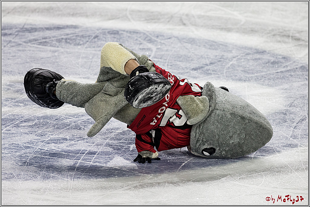 DEL, Koelner Haie - Iserlohn Rooster, 03.12.2017
