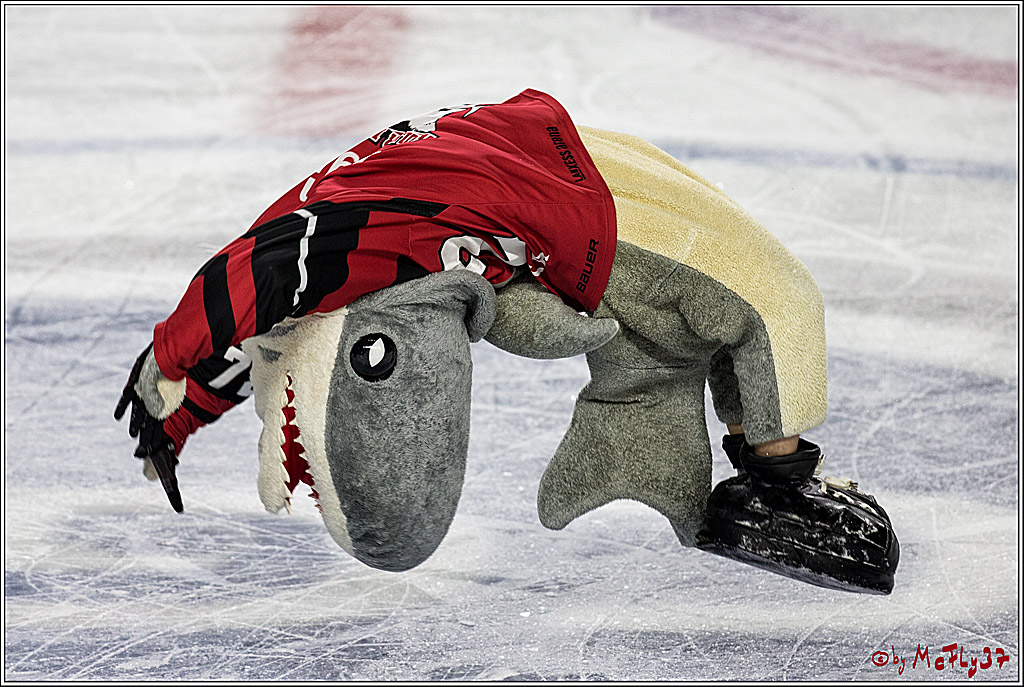 DEL, Koelner Haie - Iserlohn Rooster, 03.12.2017