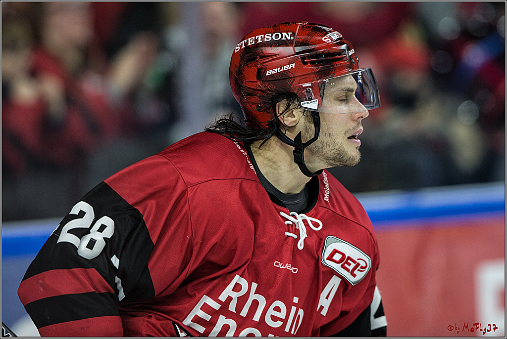 DEL, Koelner Haie - Iserlohn Rooster, 03.12.2017