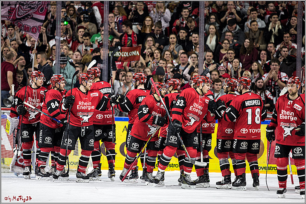 DEL, Koelner Haie - Iserlohn Rooster, 03.12.2017