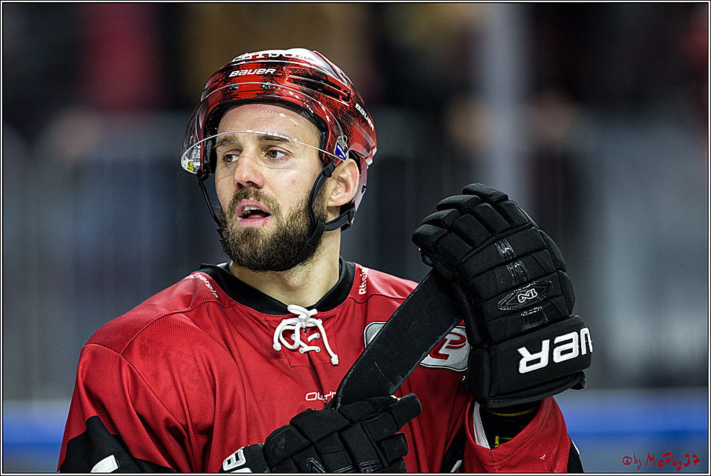 DEL, Koelner Haie - Iserlohn Rooster, 03.12.2017