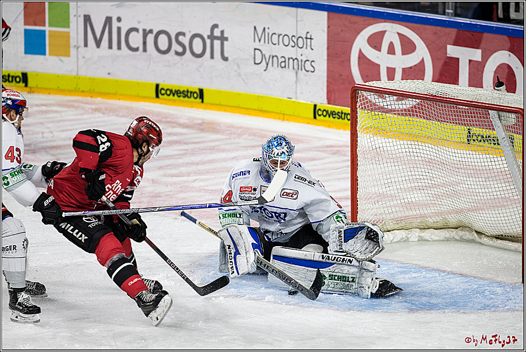DEL, Koelner Haie - Schwenninger Wild Wings, 07.12.2017