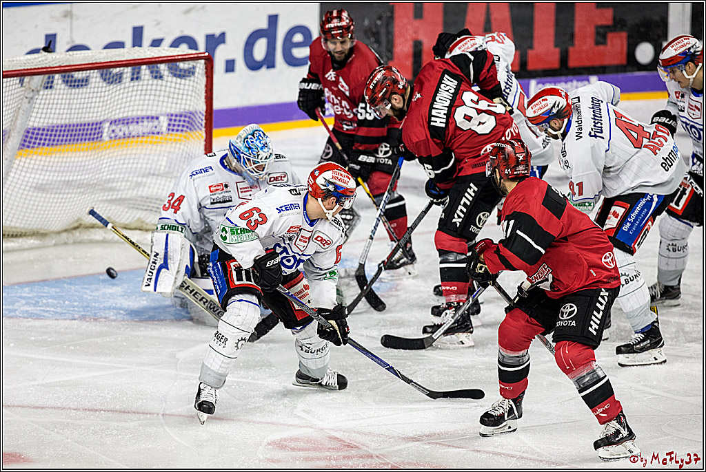 DEL, Koelner Haie - Schwenninger Wild Wings, 07.12.2017