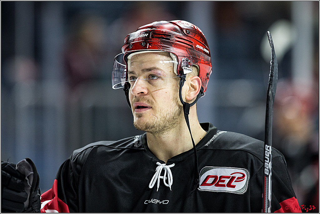 DEL, Koelner Haie - Augsburger Panther, 17.12.2017