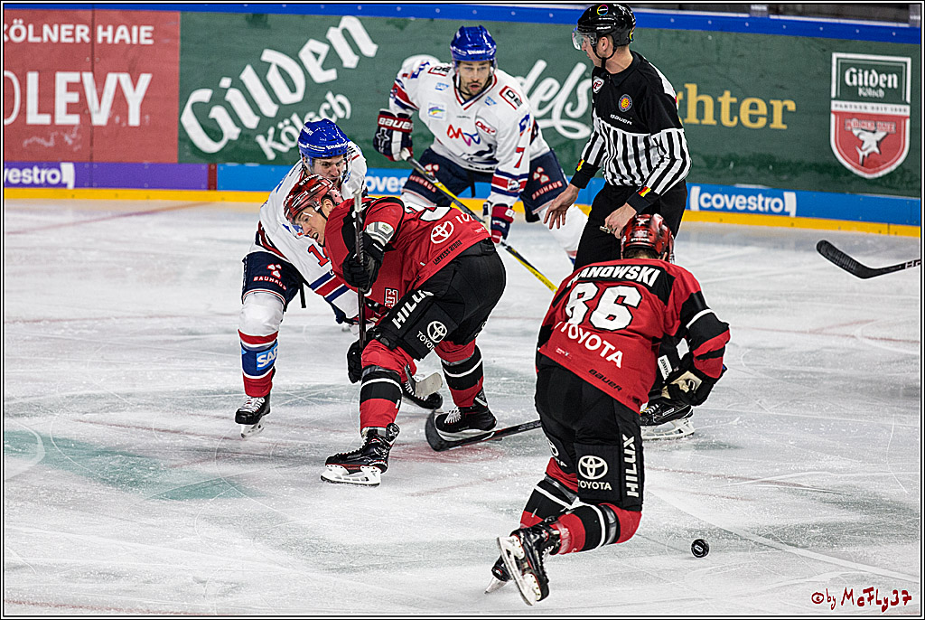 DEL, Koelner Haie - Adler Mannheim, 05.01.2018