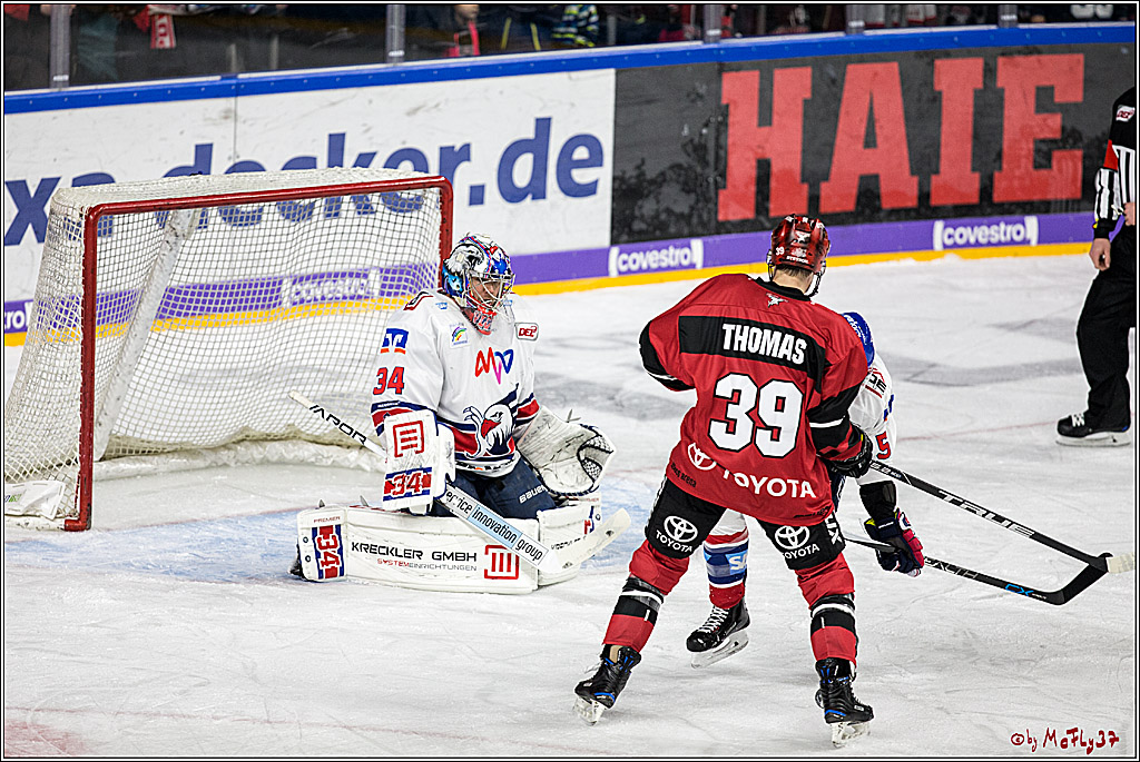 DEL, Koelner Haie - Adler Mannheim, 05.01.2018