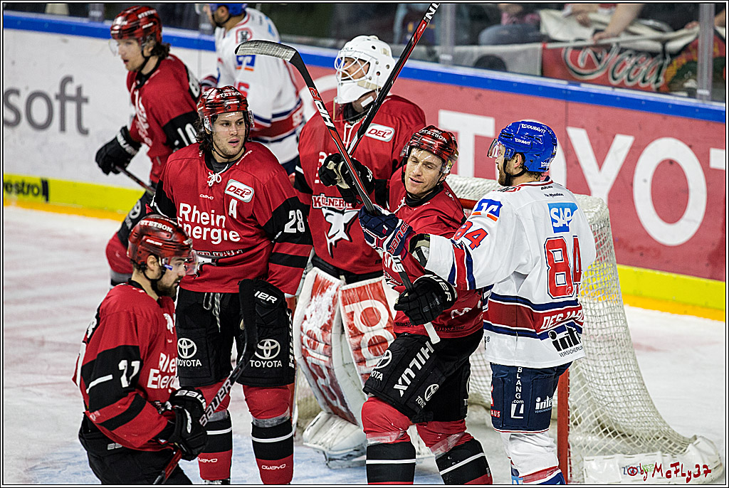 DEL, Koelner Haie - Adler Mannheim, 05.01.2018