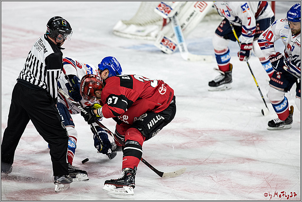 DEL, Koelner Haie - Adler Mannheim, 05.01.2018