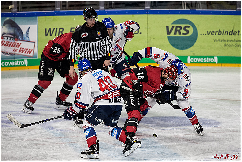 DEL, Koelner Haie - Adler Mannheim, 05.01.2018