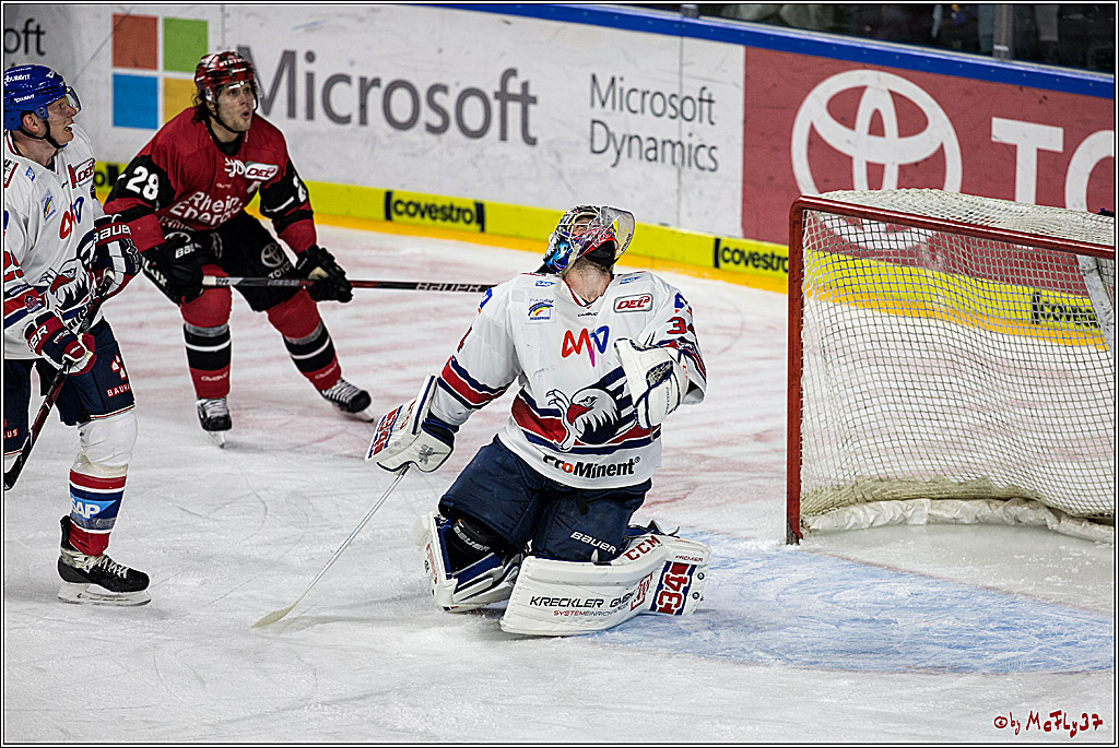 DEL, Koelner Haie - Adler Mannheim, 05.01.2018