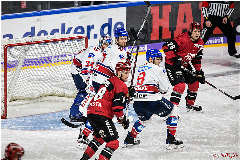 DEL, Koelner Haie - Adler Mannheim, 05.01.2018