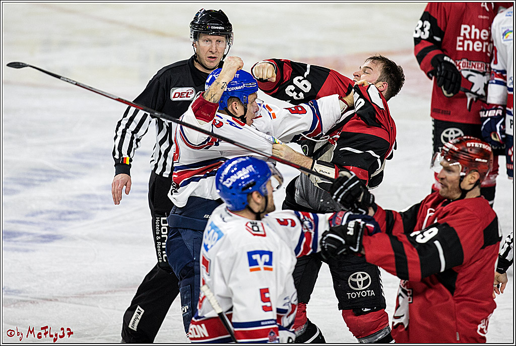 DEL, Koelner Haie - Adler Mannheim, 05.01.2018