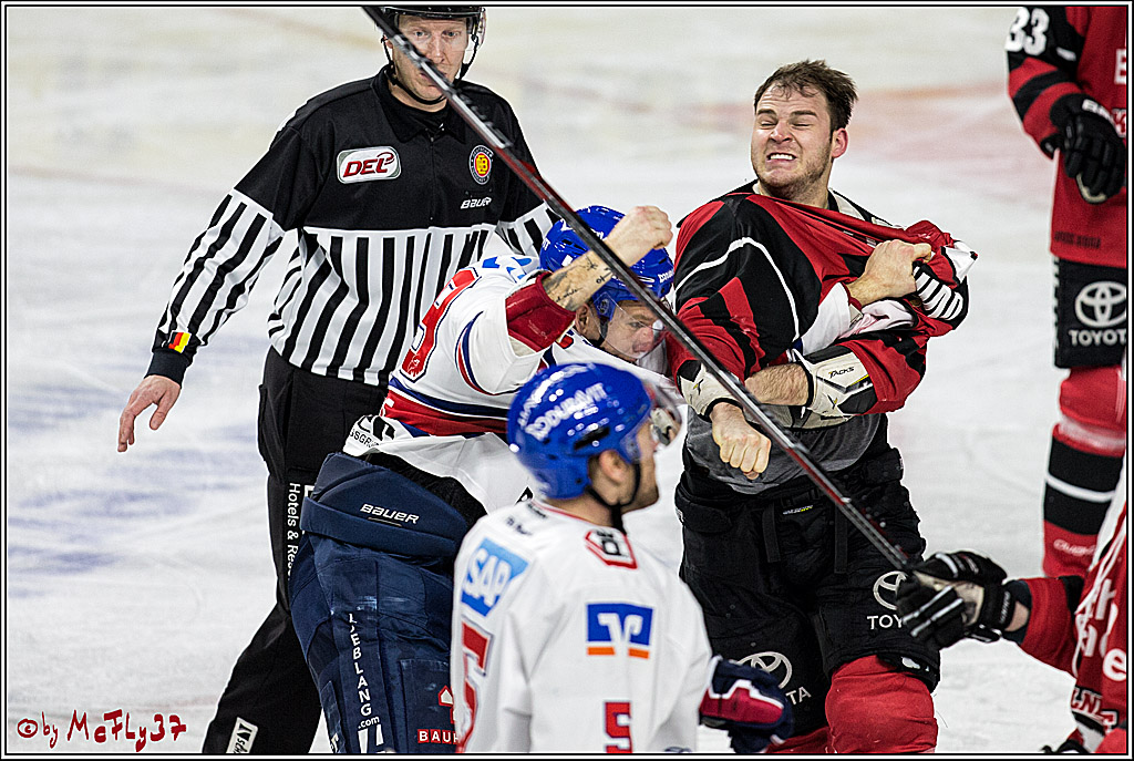 DEL, Koelner Haie - Adler Mannheim, 05.01.2018