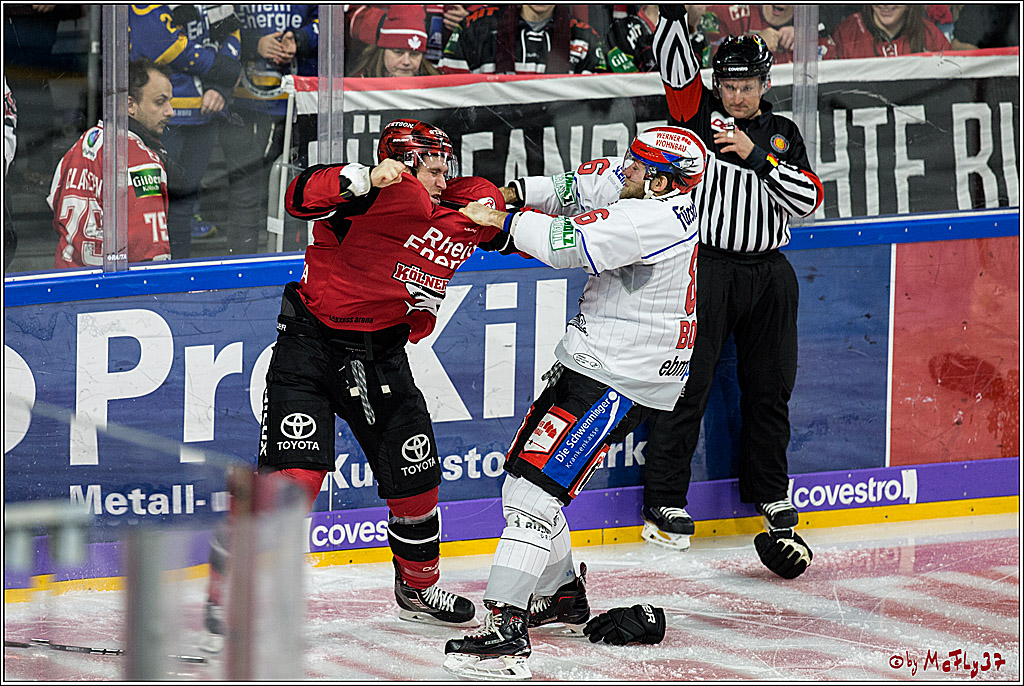 DEL, Koelner Haie - Schwenninger Wild Wings, 18.01.2018