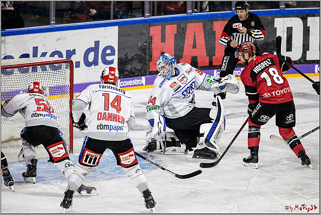 DEL, Koelner Haie - Schwenninger Wild Wings, 18.01.2018