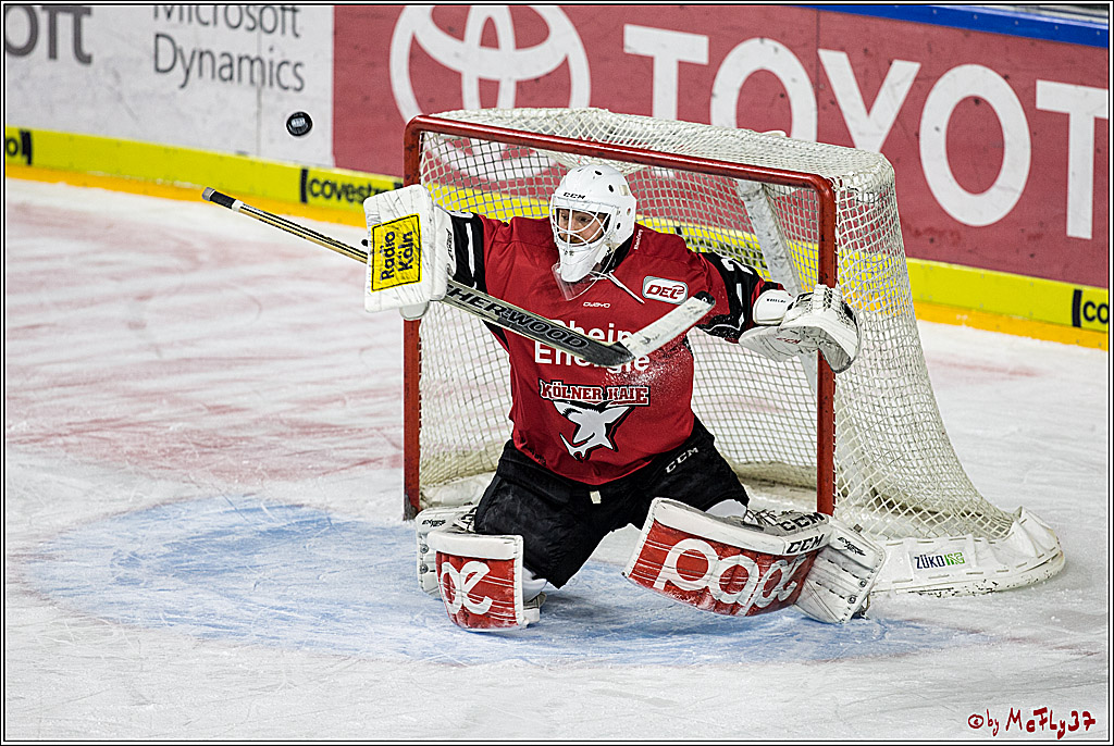 DEL, Koelner Haie - Schwenninger Wild Wings, 18.01.2018