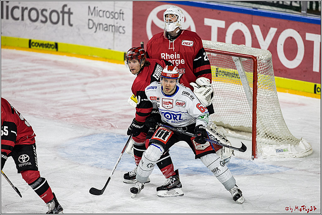 DEL, Koelner Haie - Schwenninger Wild Wings, 18.01.2018