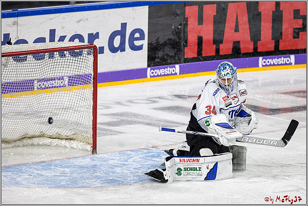 DEL, Koelner Haie - Schwenninger Wild Wings, 18.01.2018