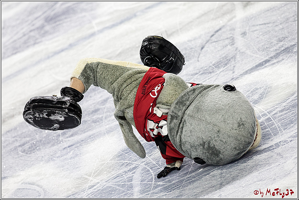 DEL, Koelner Haie - Schwenninger Wild Wings, 18.01.2018
