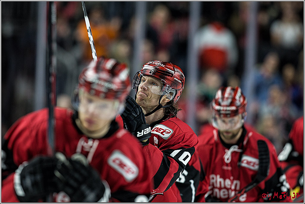 DEL, Koelner Haie - Schwenninger Wild Wings, 18.01.2018