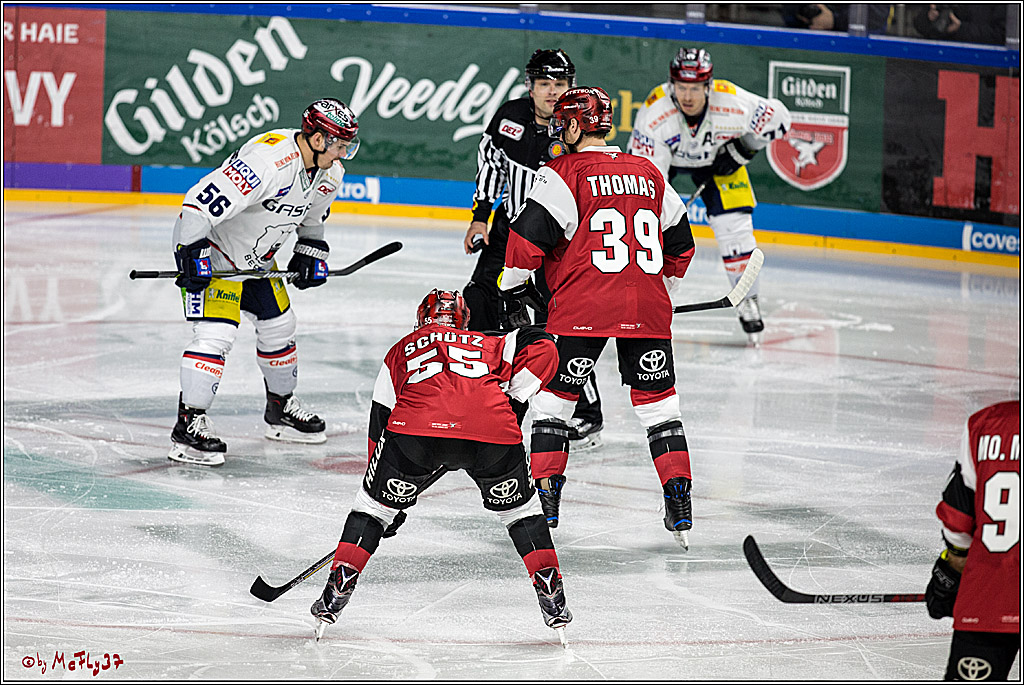 DEL, Koelner Haie - Eisbaeren Berlin, 21.01.2018