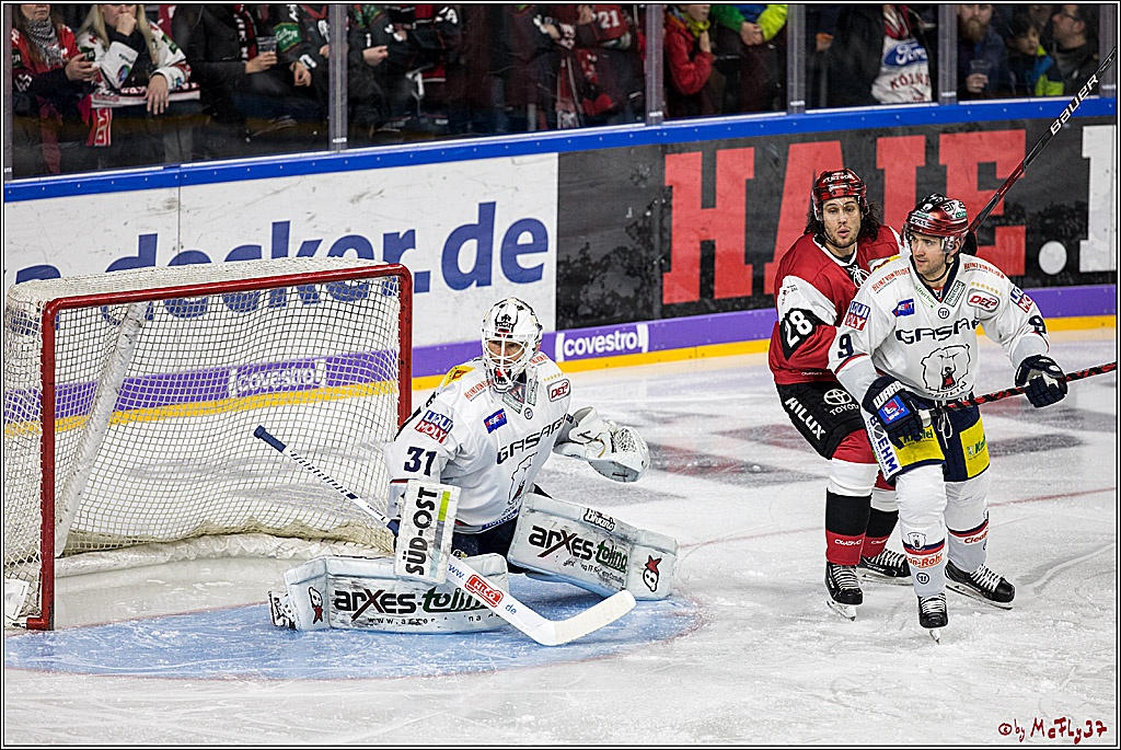 DEL, Koelner Haie - Eisbaeren Berlin, 21.01.2018