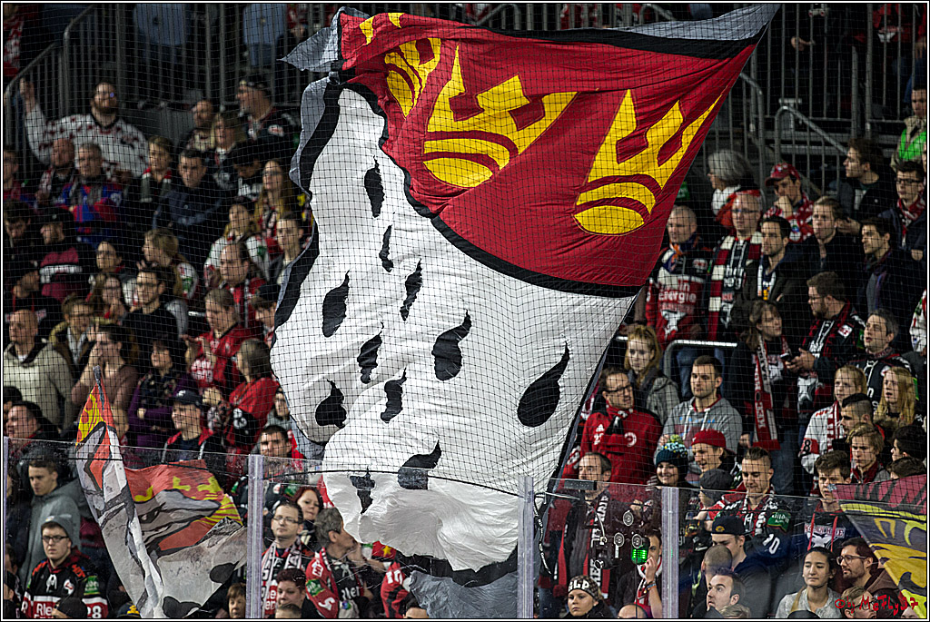 DEL, Koelner Haie - Eisbaeren Berlin, 21.01.2018