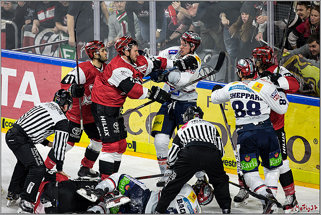 DEL, Koelner Haie - Eisbaeren Berlin, 21.01.2018