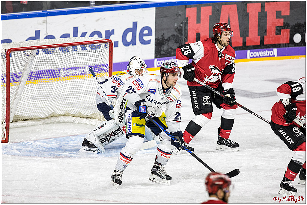 DEL, Koelner Haie - Eisbaeren Berlin, 21.01.2018