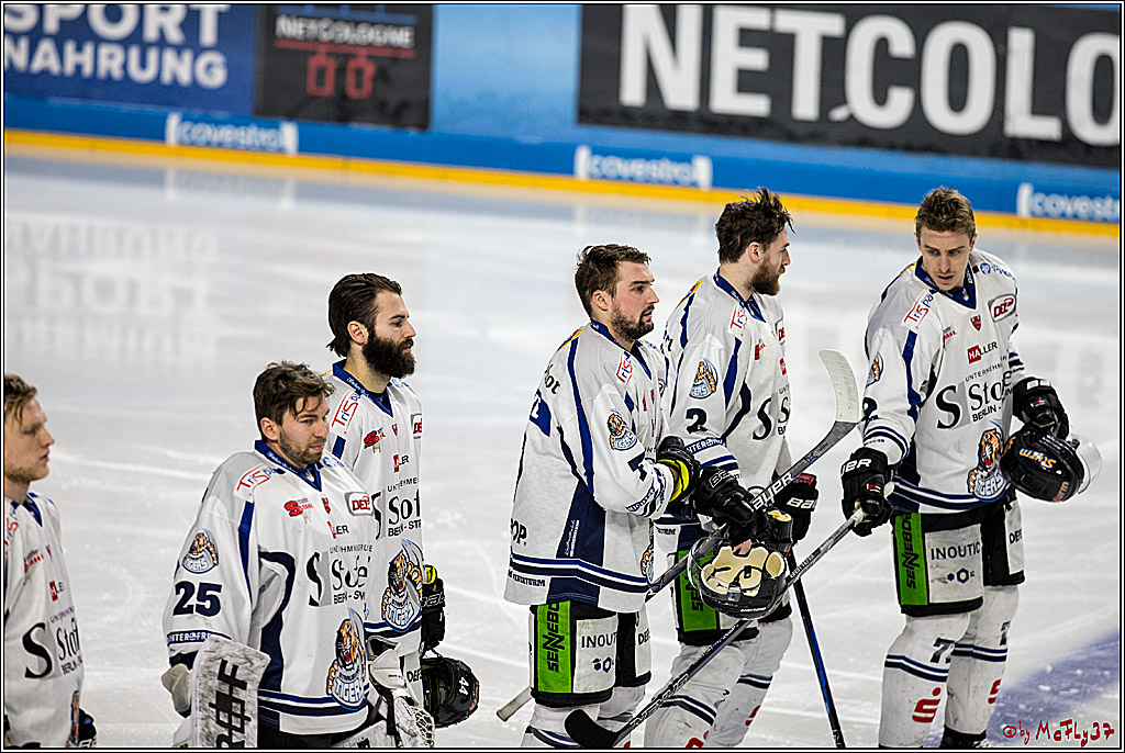 DEL, Koelner Haie - Straubing Tigers, 30.01.2018