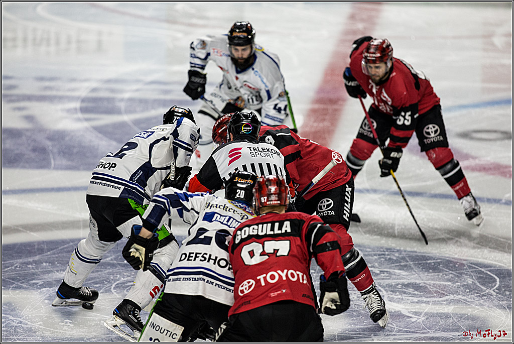 DEL, Koelner Haie - Straubing Tigers, 30.01.2018