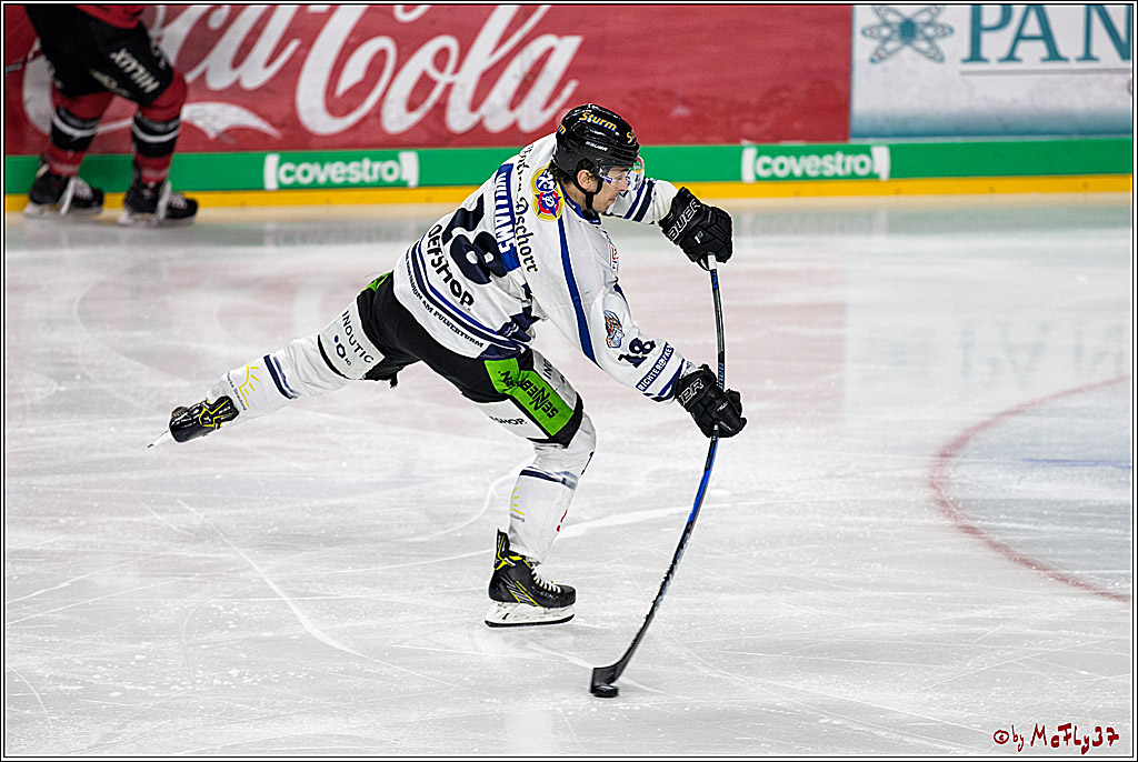 DEL, Koelner Haie - Straubing Tigers, 30.01.2018