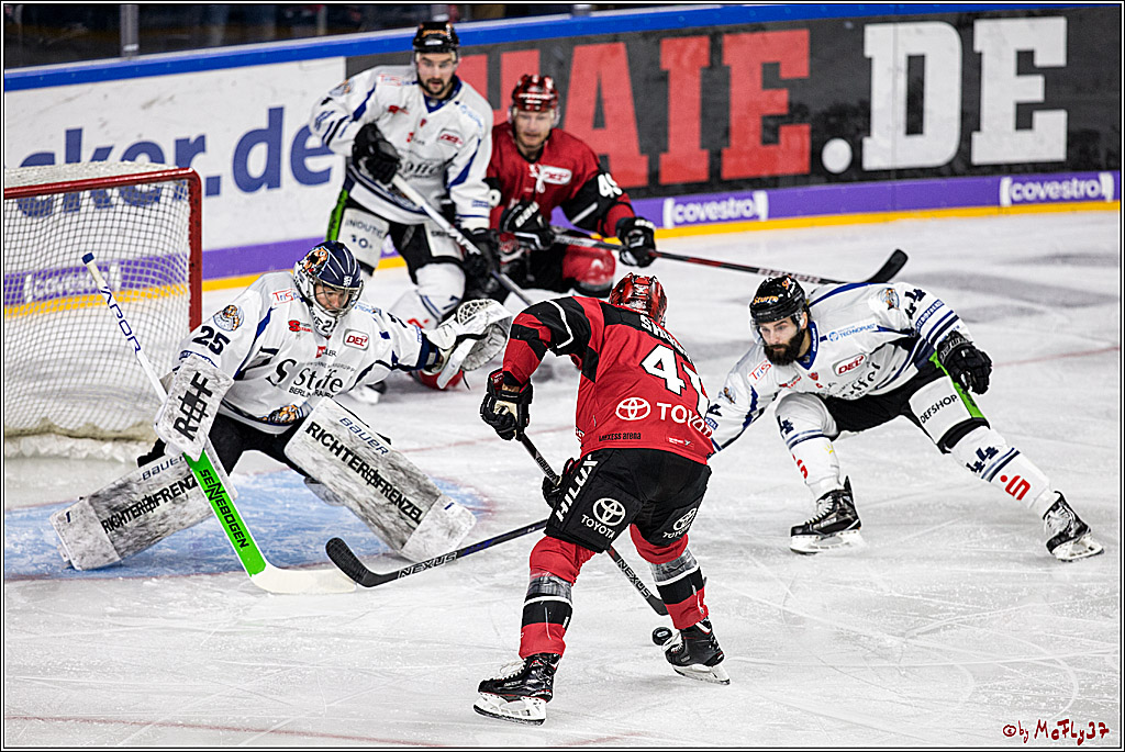 DEL, Koelner Haie - Straubing Tigers, 30.01.2018