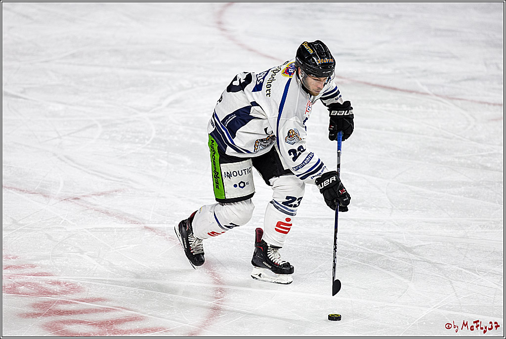 DEL, Koelner Haie - Straubing Tigers, 30.01.2018