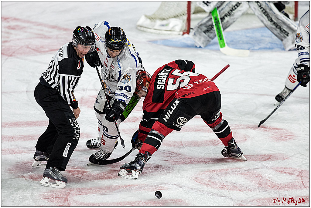 DEL, Koelner Haie - Straubing Tigers, 30.01.2018